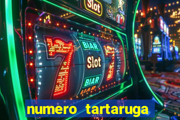 numero tartaruga jogo do bicho